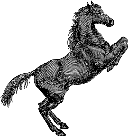 球友会